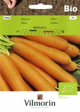 Mrkev Berlicum 2 BIO