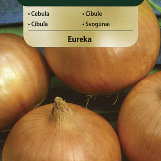 Cibule Eureka (Vilmorin)