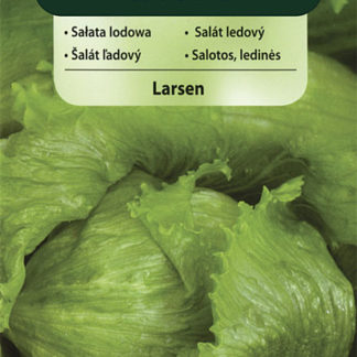 Salát ledový Larsen (Vilmorin)