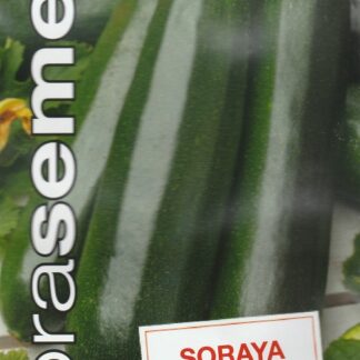 Tykev cuketa Soraya - keříčková, tmavě zelená (Dobrasemena)