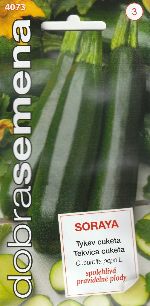 Tykev cuketa Soraya - keříčková, tmavě zelená (Dobrasemena) Tykev cuketa Soraya - keříčková, tmavě zelená (Dobrasemena)