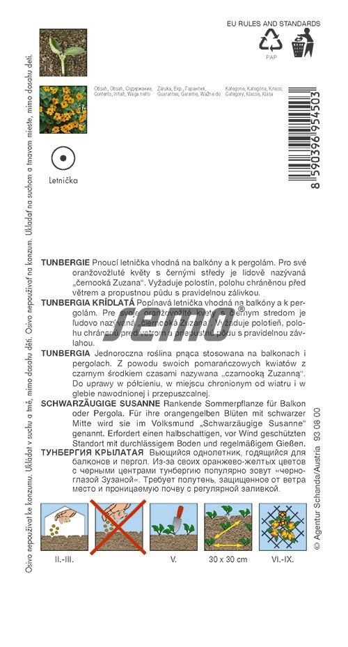Thunbergie křídlatá - Černooká Zuzana, oranžová s okem (pěstování) Thunbergie křídlatá - Černooká Zuzana, oranžová s okem (pěstování)