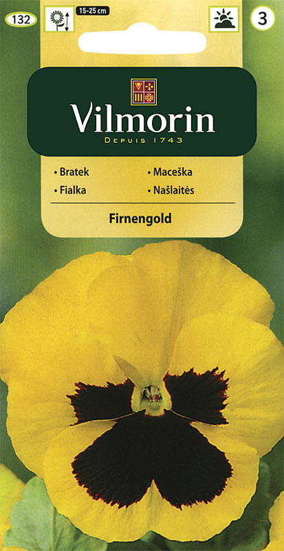 Maceška Firnengold - zlato-žlutá (Vilmorin)