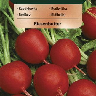 Ředkvička Riesenbutter - červená (Vilmorin)