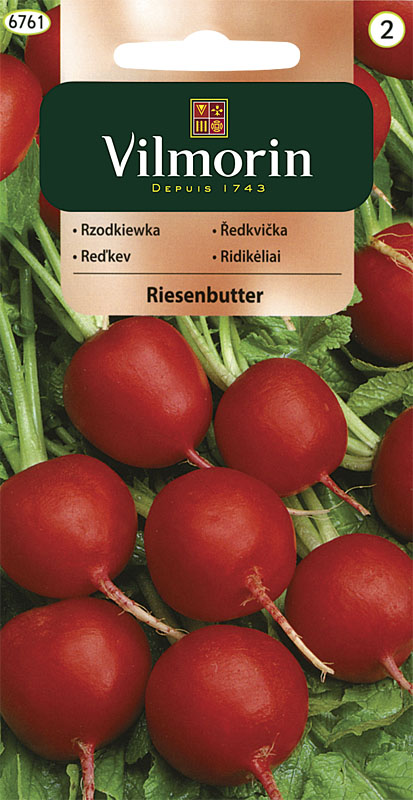 Ředkvička Riesenbutter - červená (Vilmorin)