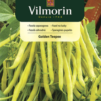 Fazol na lusky Golden Teepee - žlutý (Vilmorin)