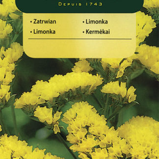 Limonka chobotnatá - žlutá (Vilmorin)