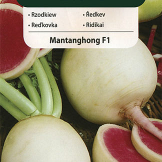 Ředkev letní Mantanghong F1 (Vilmorin)