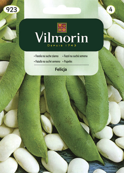 Fazol na suchá semena Felicja (Vilmorin)