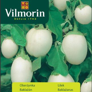 Lilek (baklažán) Golden Eggs (Vilmorin)