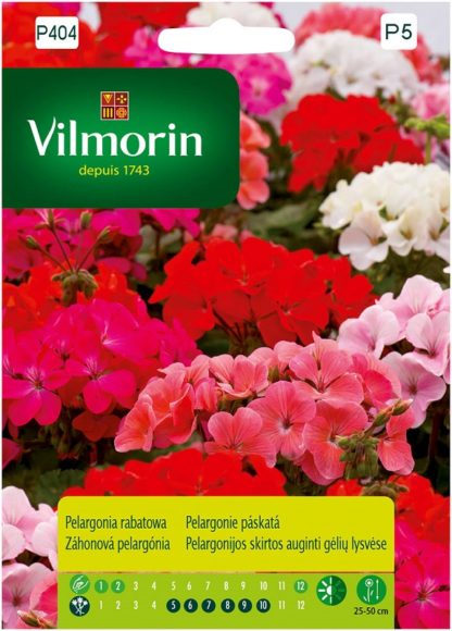 Pelargonie páskatá - směs (Vilmorin)