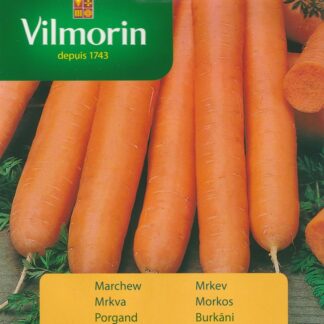 Mrkev Nantaise améliorée 2 - poloraná (Vilmorin)