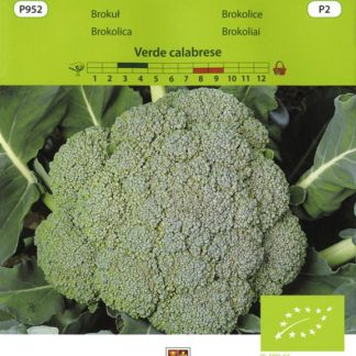 Brokolice Verde calabrese (Vilmorin)