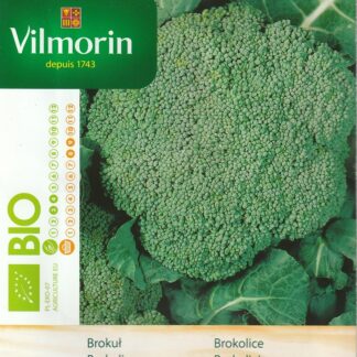 Brokolice Calabrese Natalino BIO (Vilmorin)
