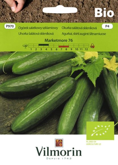 Okurka salátová skleníková Marketmore 76 BIO (Vilmorin)