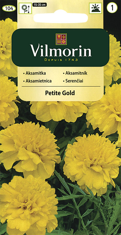 Aksamitník rozkladitý Petite Gold - žlutý (Vilmorin)
