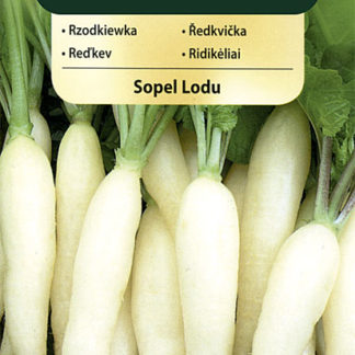 Ředkvička Sopel Lodu - bílá (Vilmorin)