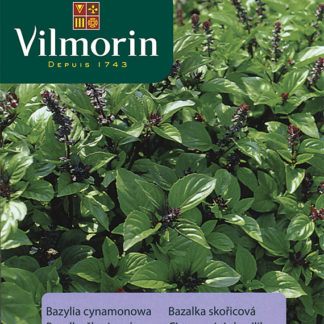 Bazalka skořicová (Vilmorin)