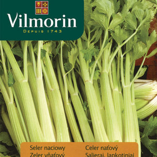 Celer naťový Nuget (Vilmorin)