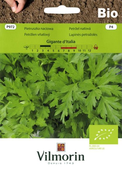 Petržel naťová Gigante d'Italia BIO (Vilmorin)