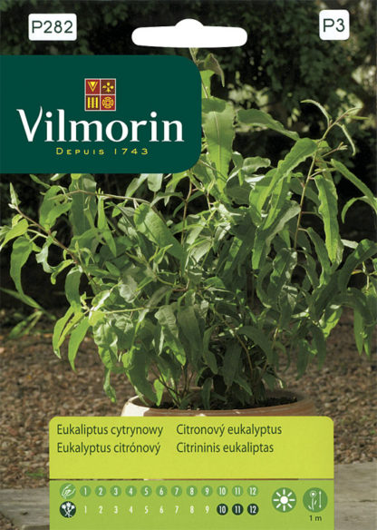 Citronový eukalyptus - blahovičník (Vilmorin)