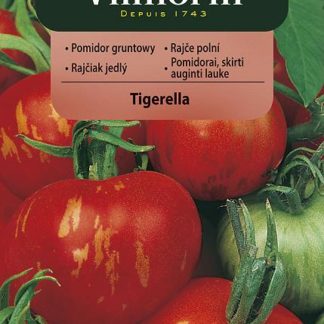 Rajče polní Tigerella - tygrované (Vilmorin)
