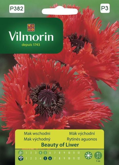 Mák východní Beauty of Liwer - červený (Vilmorin)