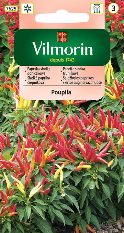 Paprika sladká Poupila - truhlíková (Vilmorin)