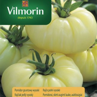 Rajče polní vysoké White Beefsteak - bílé (Vilmorin)