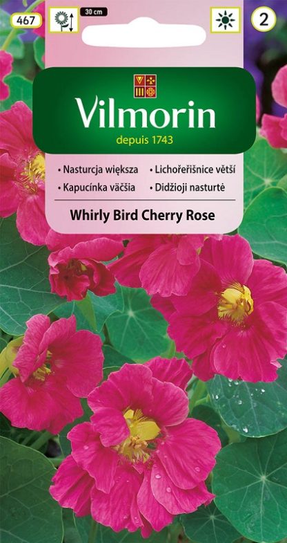 Lichořeřišnice větší Whirly Bird Cherry Rose - růžová (Vilmorin)