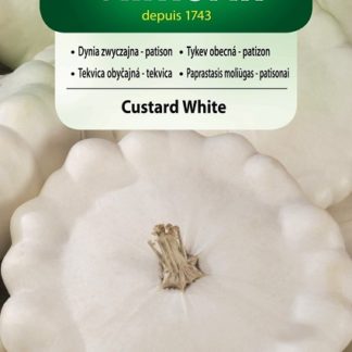Patizon (tykev obecná) Custard White (Vilmorin)