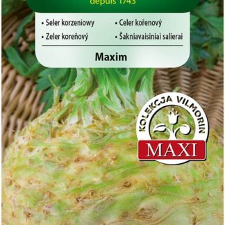 Celer kořenový Maxim (Vilmorin)