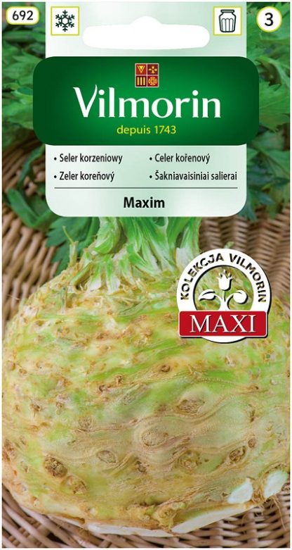 Celer kořenový Maxim (Vilmorin)