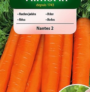 Mrkev Nantes 2 - obalovaná semena (Vilmorin)
