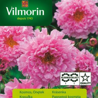 Krásenka Rose Bonbon - růžová (Vilmorin)