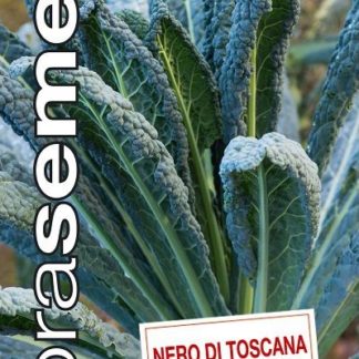 Listová kapusta Nero di Toscana - mrazuvzdorná (Dobrásemena)