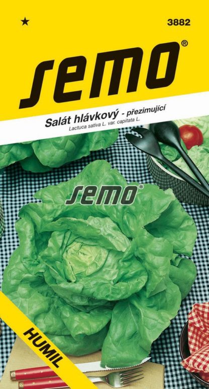 Salát hlávkový Humil - přezimující (Semo)