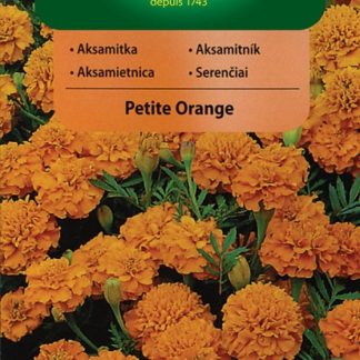 Aksamitník rozkladitý Petite Orange - oranžový (Vilmorin)