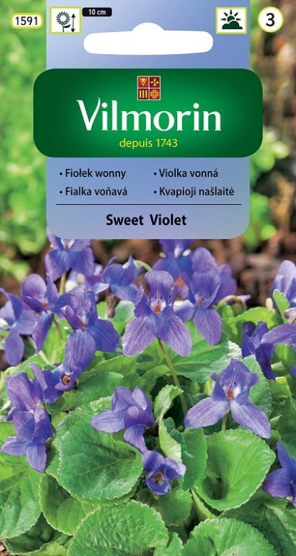 Violka vonná Sweet Violet - fialová (Vilmorin)
