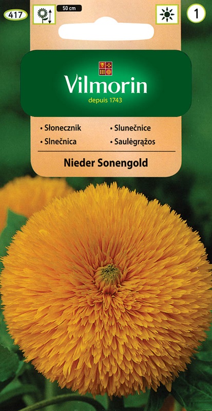 Slunečnice plnokvětá Nieder Sonengold - zlatožlutá (Vilmorin)