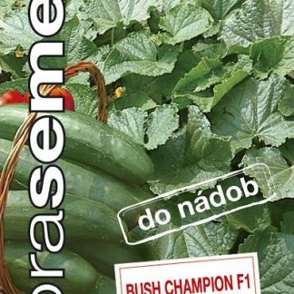 Okurka salátová Bush Champion F1 - do nádob (Dobrasemena)