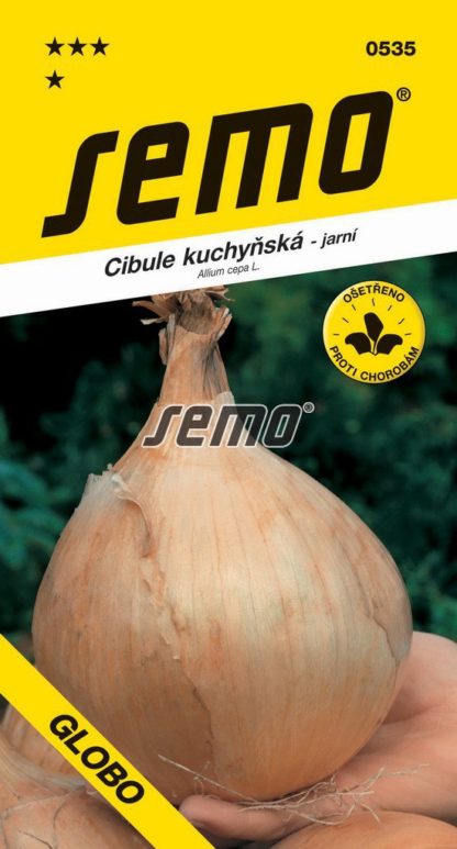 Cibule kuchyňská Globo - jarní (Semo)