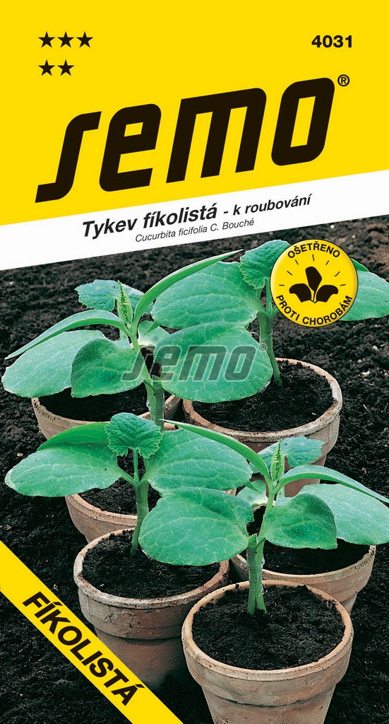 Tykev fíkolistá - pro roubování (Semo) Tykev fíkolistá - pro roubování (Semo)