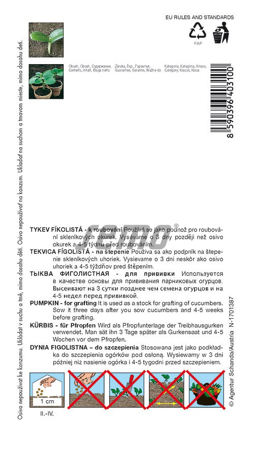 Tykev fíkolistá - pro roubování (pěstování) Tykev fíkolistá - pro roubování (pěstování)