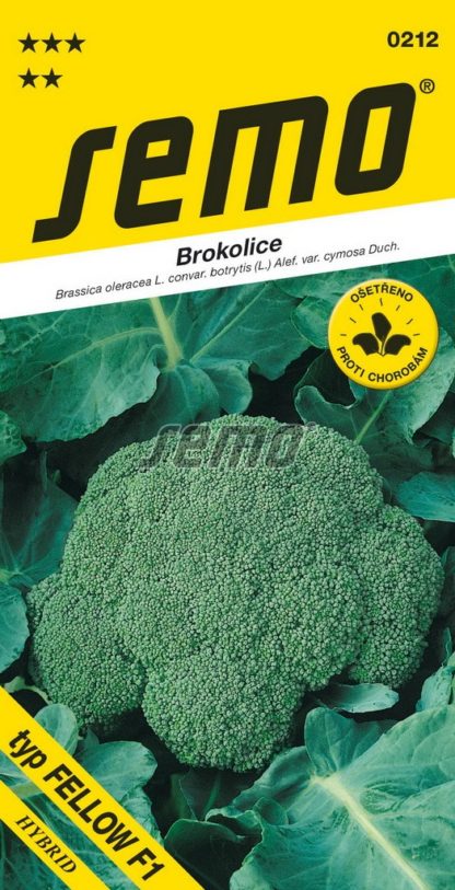 Brokolice Steel F1 - celoroční, typ Fellow F1 (Semo)