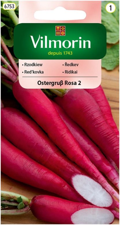 Ředkev Ostergruß Rosa 2 - růžová (Vilmorin)