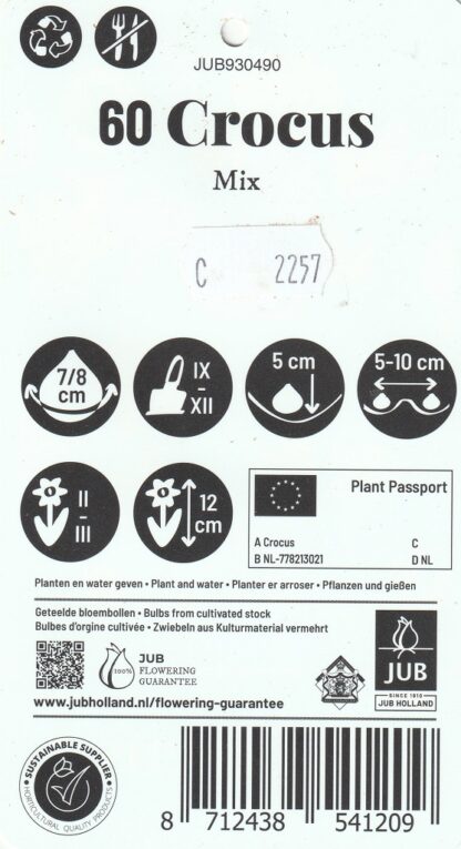 Krokus Mix (Large Flowering, 60 cibulí, směs, XXL síťka, pěstování)