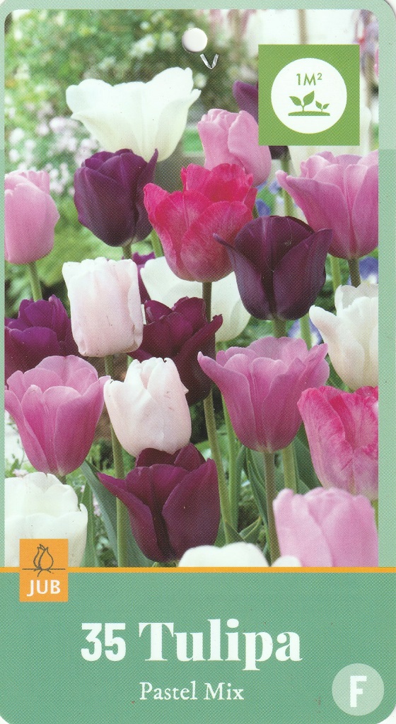 Tulipán Pastel Mix (35 cibulí, směs, XXL síťka) Tulipán Pastel Mix (35 cibulí, směs, XXL síťka)