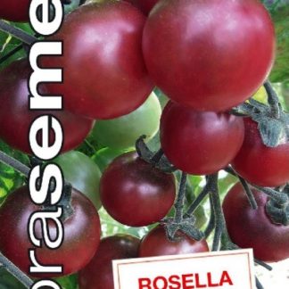 Rajče tyčkové Rosella - třešňové, tmavě růžové (Dobrasemena)