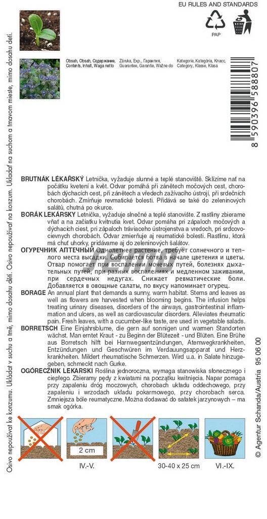 Semo_5888_Brutnak_lekarsky_pestovani Brutnák lékařský (pěstování)